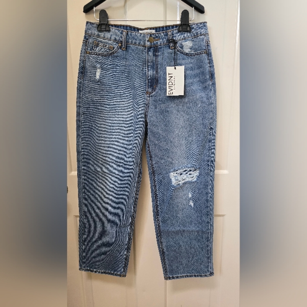 Anrhropologie EVDNT Los Angeles Malibu Boyfriend Distressed Denim Bag Size 26